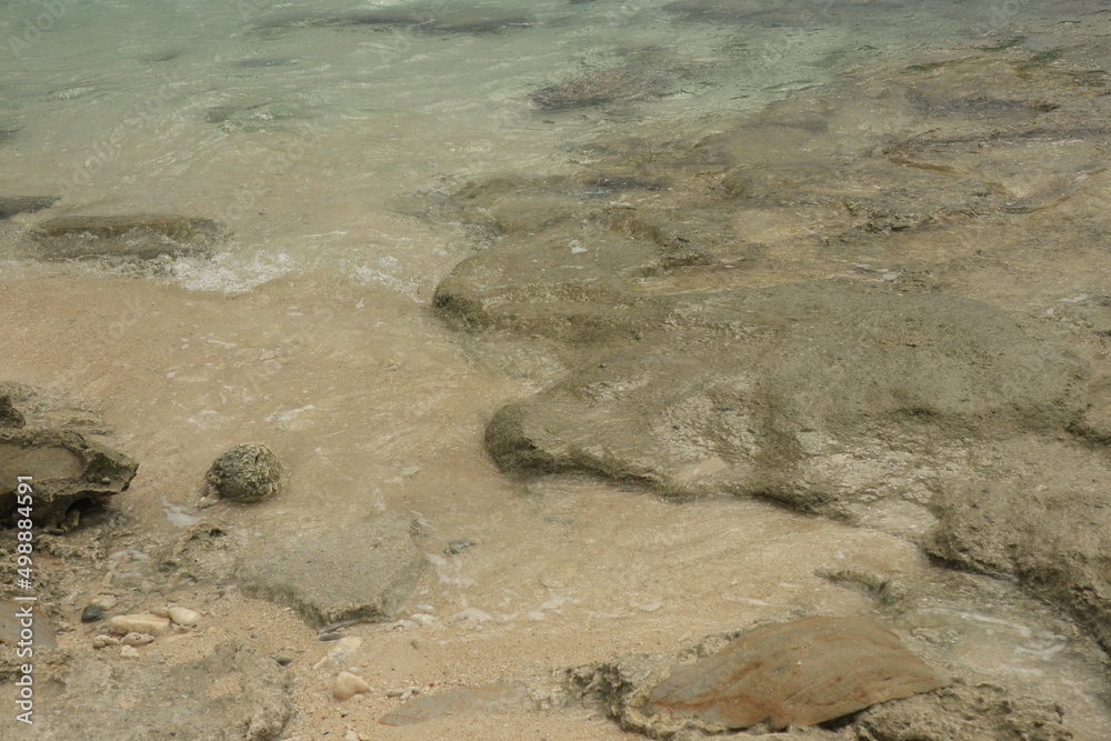 Obraz premium 島、海、海岸