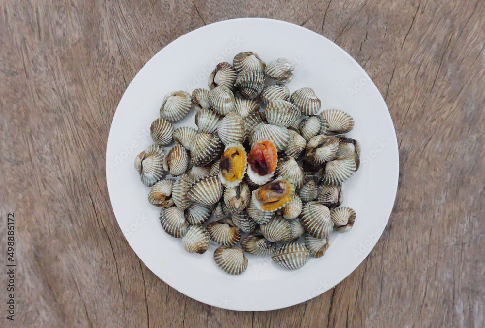 Fresh cockles on a white plate, high protein seafood, nourishing blood, beneficial to the body. (2) Fresh cockles on a white plate, high protein seafood, nourishing blood, beneficial to the body. (2)