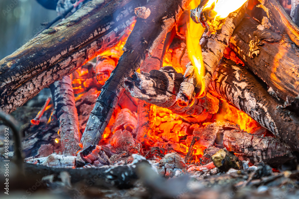 Campfire in the spring forest. Rest on the weekend. Danger of forest fires Campfire in the spring forest. Rest on the weekend. Danger of forest fires