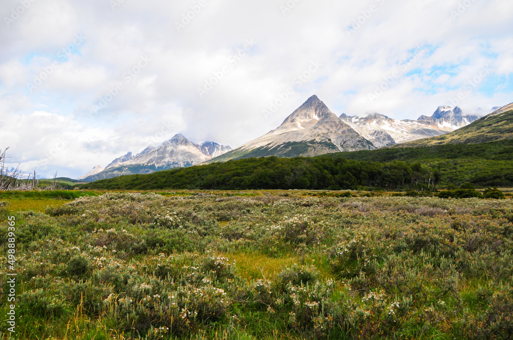 Mountain peaks covered with snow and hills with grass and vegetation Mountain peaks covered with snow and hills with grass and vegetation