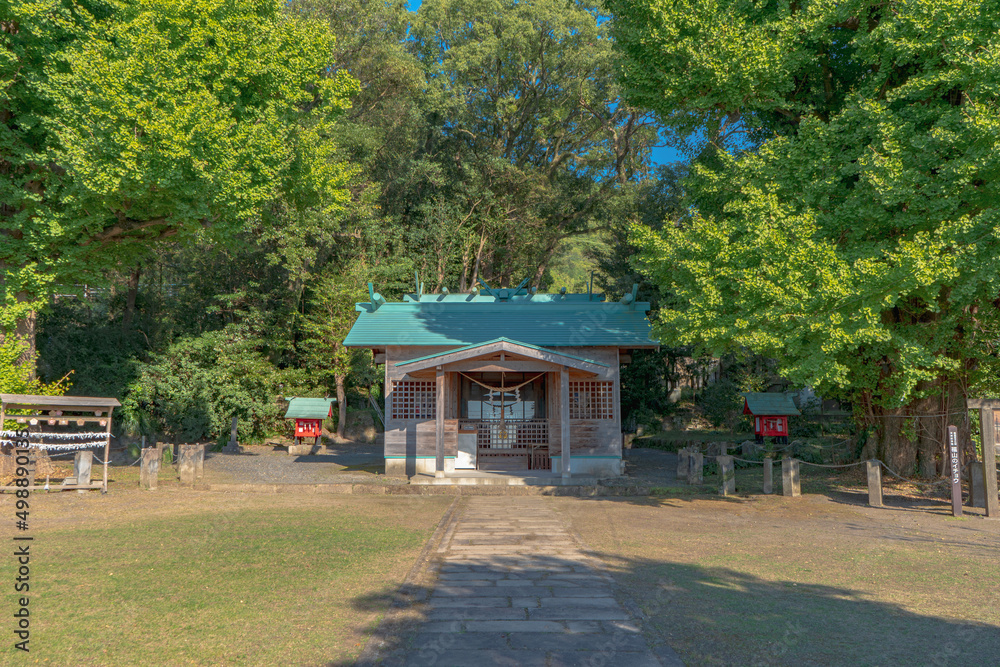 Obraz premium 宮浦宮の夏の風景(霧島市福山町)