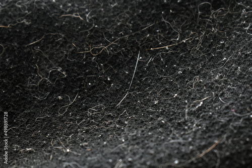 Pet hair and dust on clothes.  Photo can be used for the concept of how to remove pet hair from clothes. 