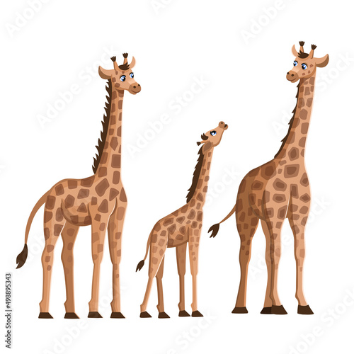 Set of cute cartoon giraffe on white background. Animals of Africa. Vector cartoon illustration.
