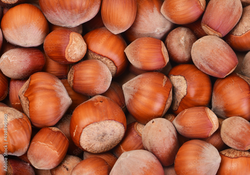 Background hazelnut Background hazelnut