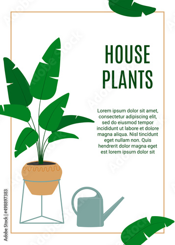 Flyer for houseplants store. Florarium, home garden, greenhouse, gardening, potted plant concept