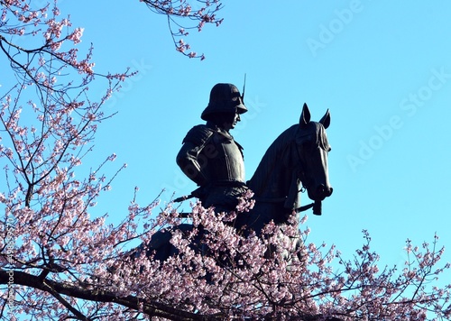 桜と伊達政宗騎馬像 Fototapet