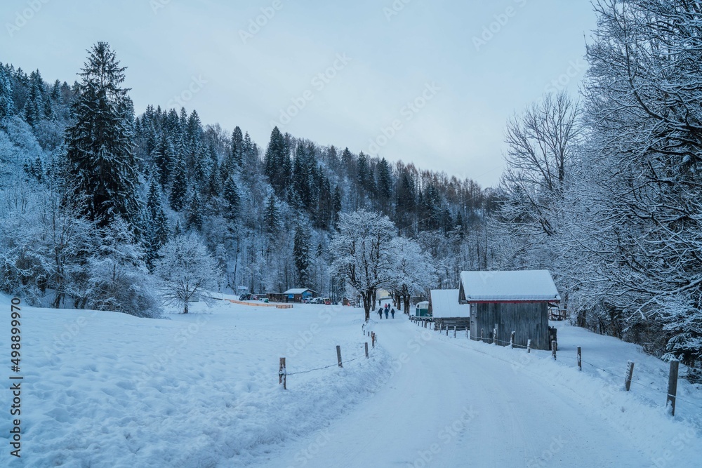 winter landscape in the mountains winter landscape in the mountains