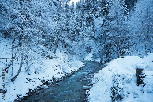 river in winter forest