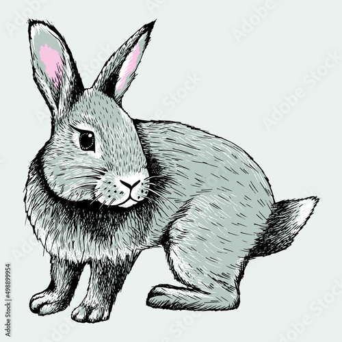 Cute furry rabbit. Hand drawn illustration with a pen.