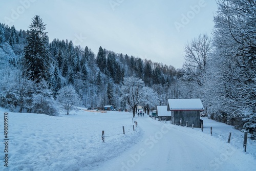 winter landscape in the mountains