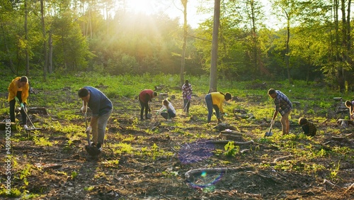 Group of multicultural happy eco activists plants tree at sunset. Diverse people is planting tree. Happy group of males and females with shovels and planting plant in soil photo