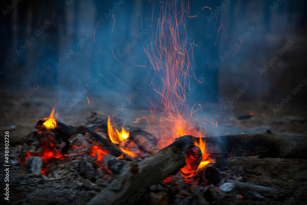 Firewood burning in the forest in the evening. Firewood burning in the forest in the evening.