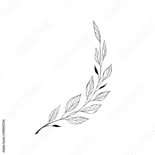 beautiful detailed sketch of plant. The idea of ​​a twig tattoo with leaves. ...