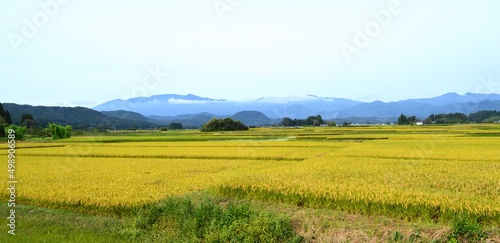 宮城県の農村の風景