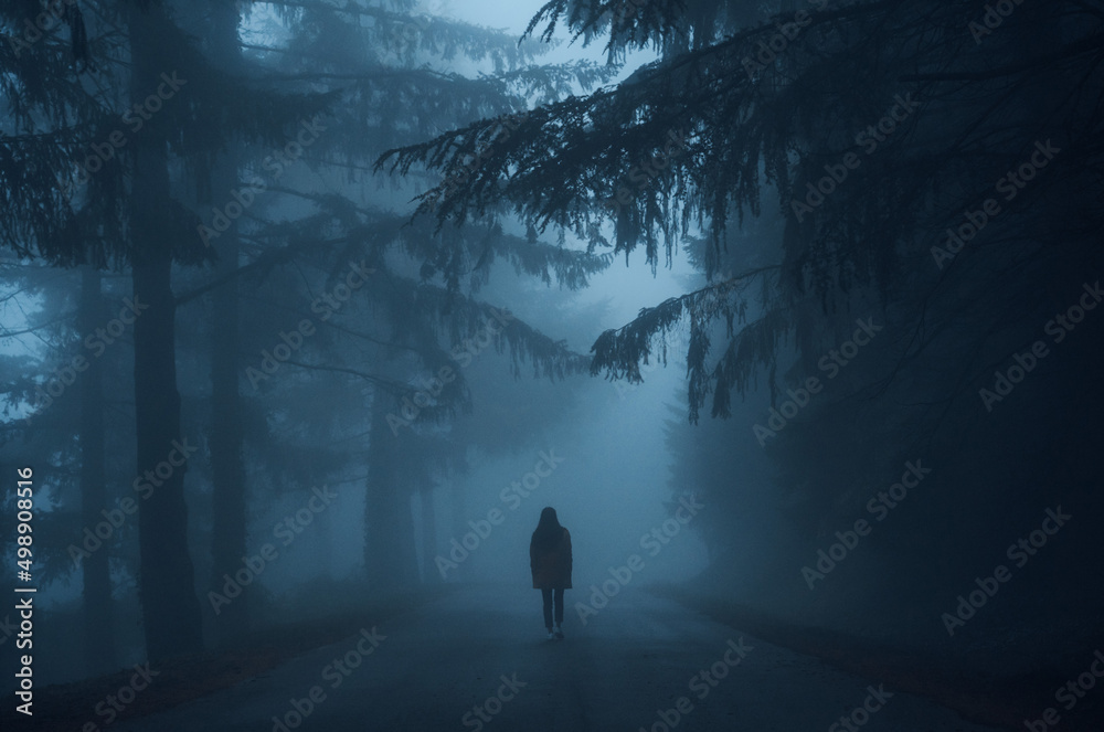 silhouette of a person in a fog forest