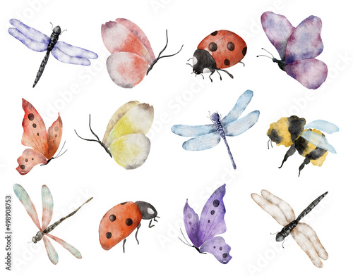 Watercolor dragonfly hand drawn illustrations insects set © EvgeniiasArt