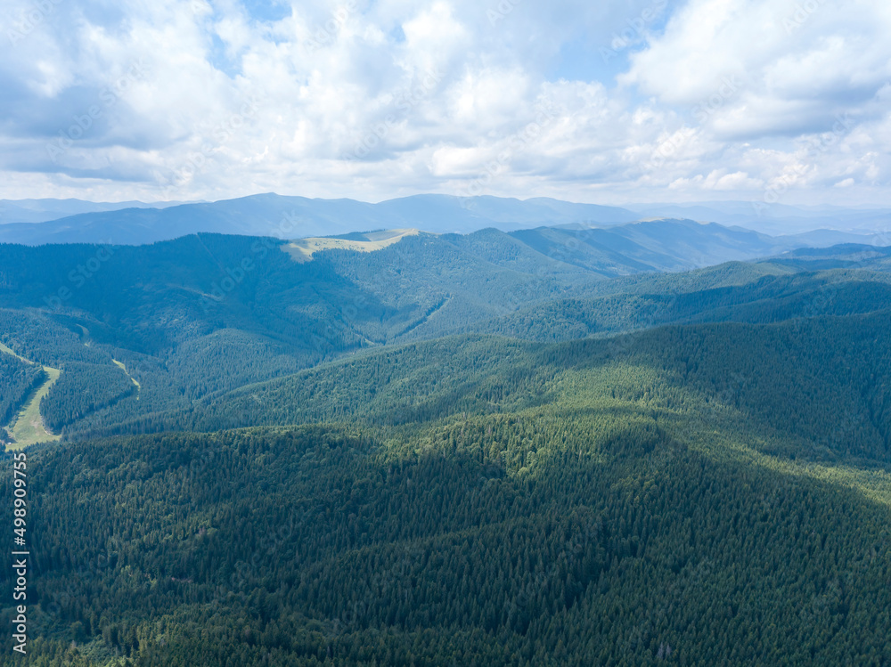 Obraz premium Green mountains of Ukrainian Carpathians in summer. Sunny day, rare clouds. Aerial drone view.