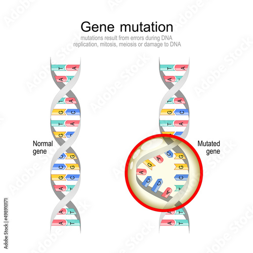 Genetic mutation Normal DNA and helix with Mutated gene.