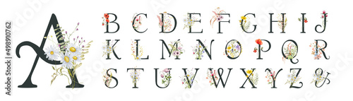 Fotografie, Tablou Watercolor floral english alphabet set with wild flowers from A to Z