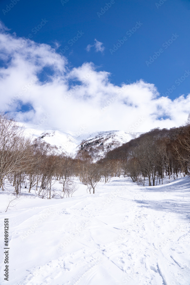 冬山の景色（新潟県・平標山）