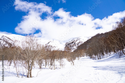 冬山の景色（新潟県・平標山）