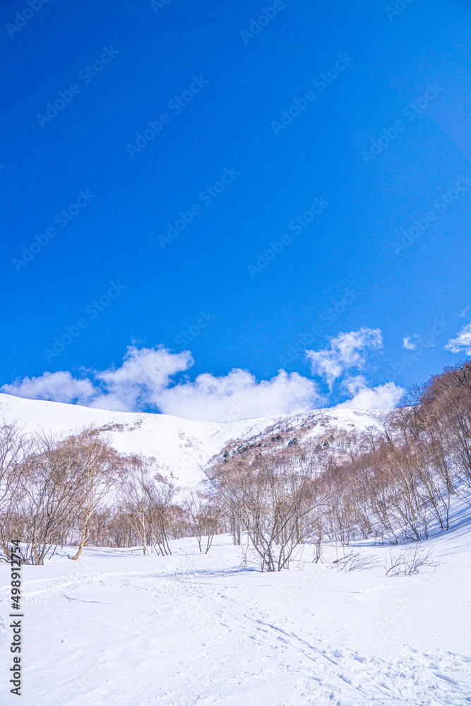 雪景色　平標山への登山道