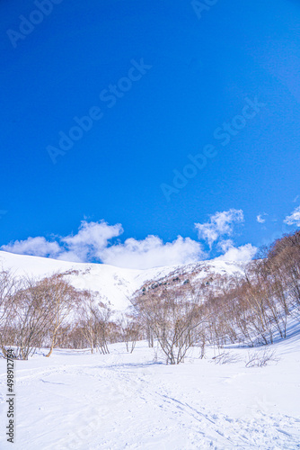 雪景色　平標山への登山道 © Nao