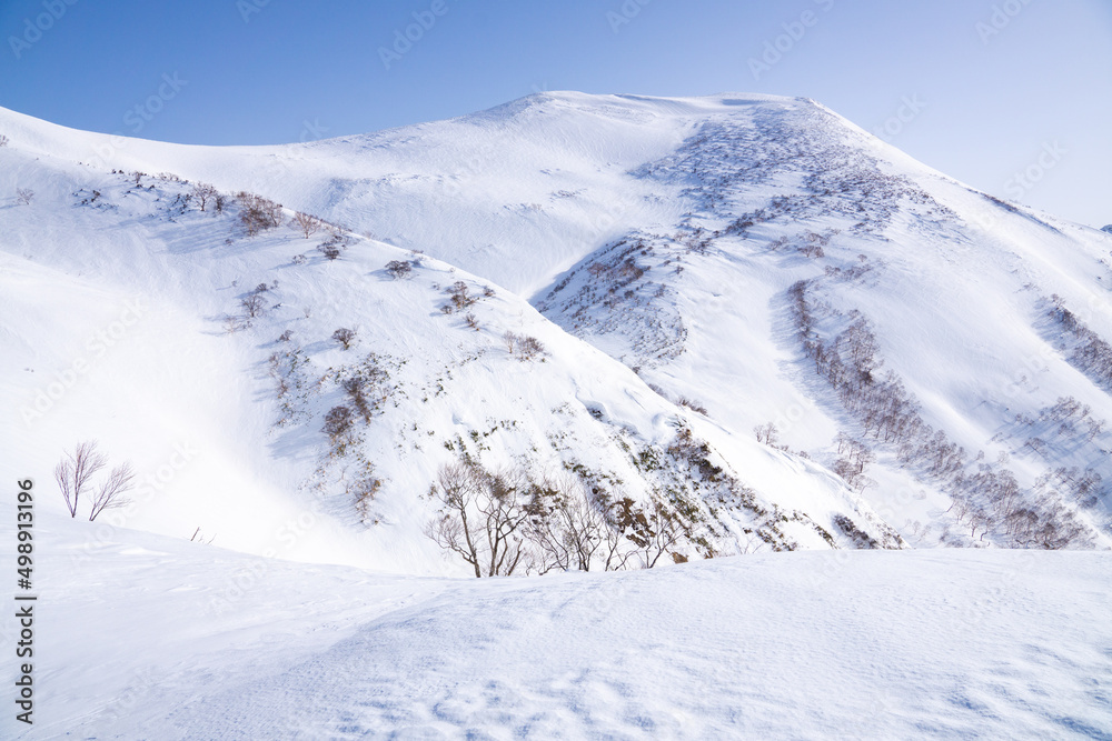 平標山の雪に覆われた山肌