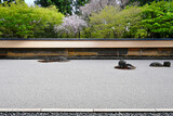 春の京都市 世界遺産龍安寺の石庭01