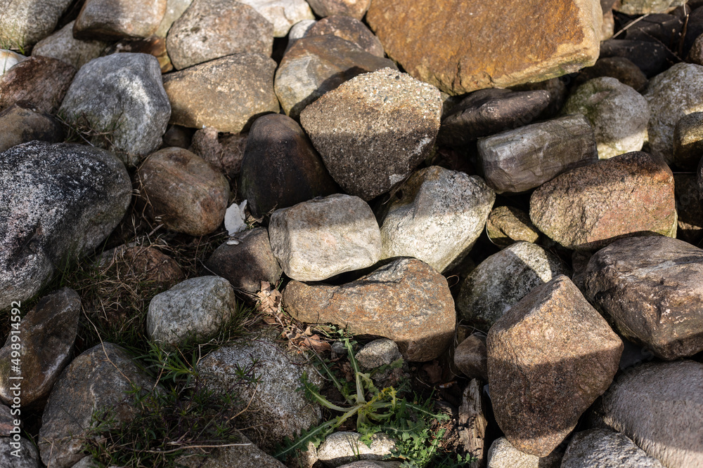 stack of firewood