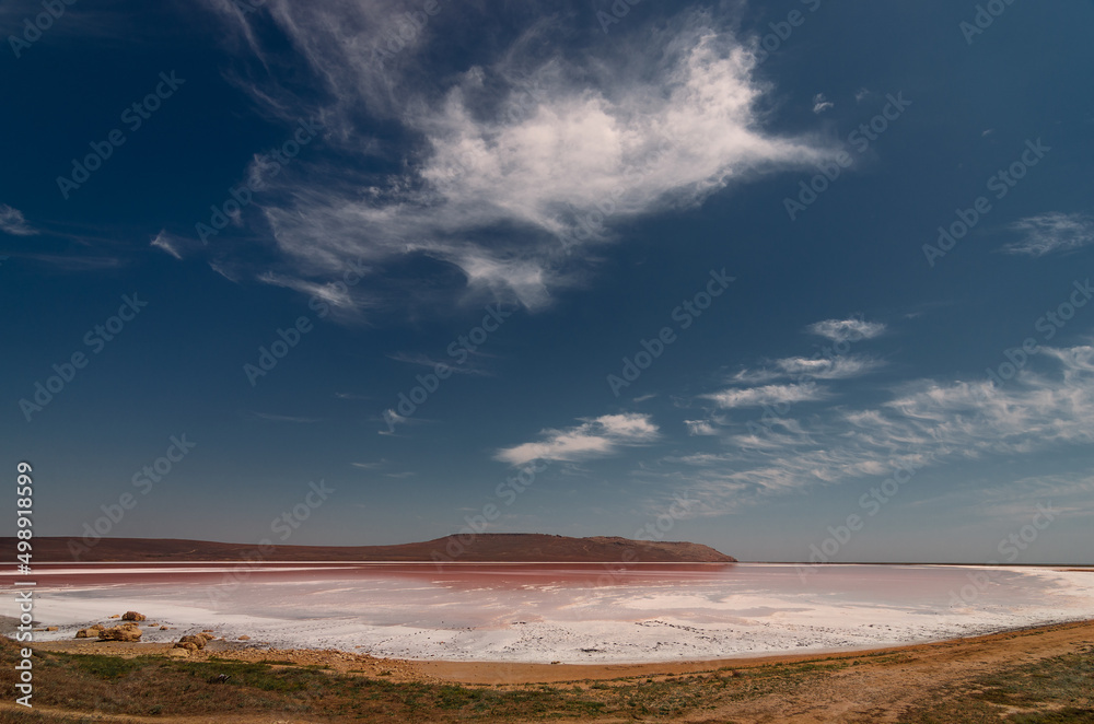 Mars landscape/pink lake Mars landscape/pink lake