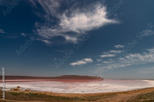 Mars landscape/pink lake © Vitalii