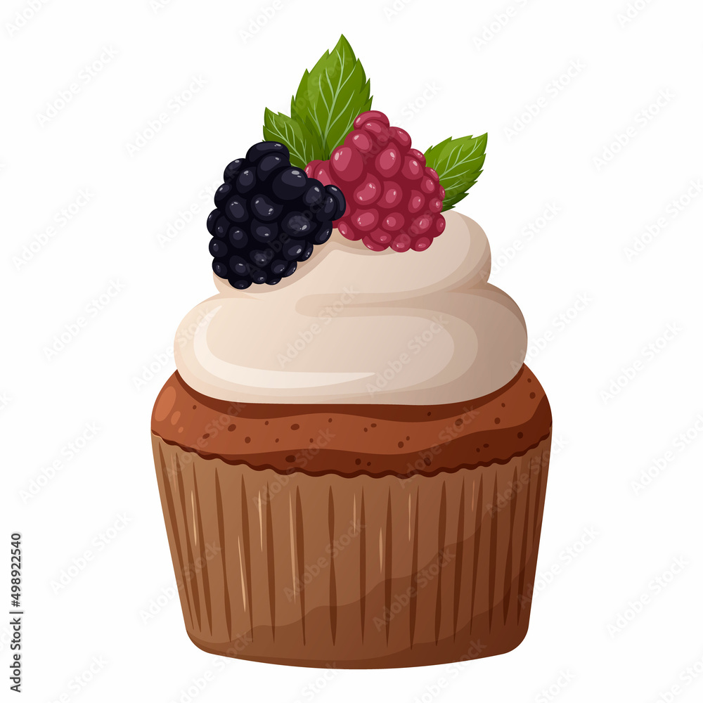 Cupcake with raspberries, blackberries, mint leaves and whipped cream. Vector image of a cake on a transparent background. Elements of confectionery, baking, bakery, sweets for poster, banner, sticker Cupcake with raspberries, blackberries, mint leaves and whipped cream. Vector image of a cake on a transparent background. Elements of confectionery, baking, bakery, sweets for poster, banner, sticker
