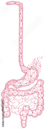 Polygonal stomach and intestines. Medical research of internal organs, innovative approach concept. Human digestive system illustration. Modern depiction of organs for digesting and assimilating food