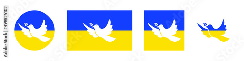 White pigeon on patriotic of Ukraine flag. Pray for Ukraine. Vector banner isolated on white background.