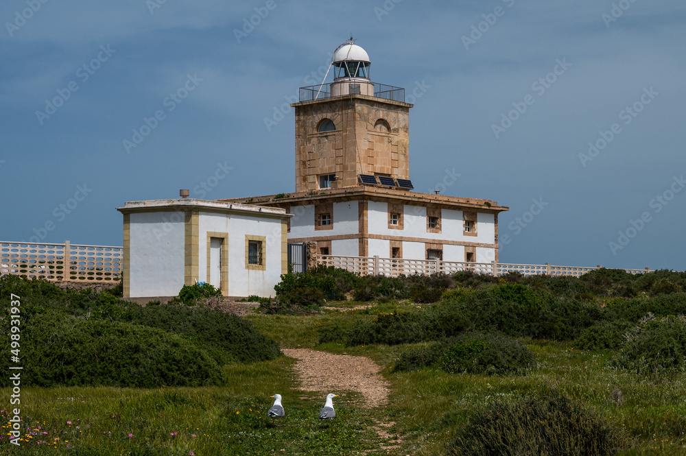 Two seagulls are seen in the Lighthouse of Tabarca. Tabarca is a small islet located in the Mediterranean Sea, close to the town of Santa Pola, Alicante, Spain.