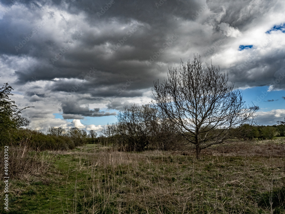 Obraz premium In The Park Again 