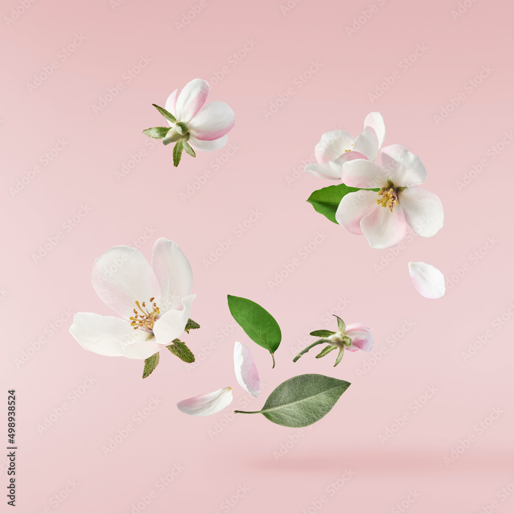 Fototapeta premium Delicious Chocolate flying in the air. High resolution levitation concept