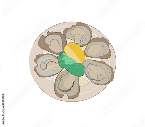 Plate of oysters in flat style with slice of lemon and salad on white background
