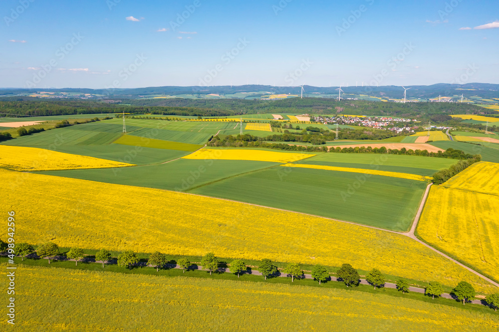 A bird's-eye view of a spring landscape in the Taunus with blooming yellow rapeseed fields