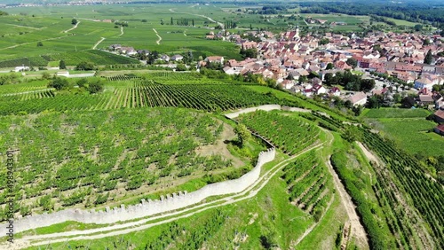 Green vineyards and old crenelated wall on top of hill, Ingersheim town seen downwards ahead. Aerial shot of Alsace fields and towns at sunny summer day. Famous wine-making region of France photo