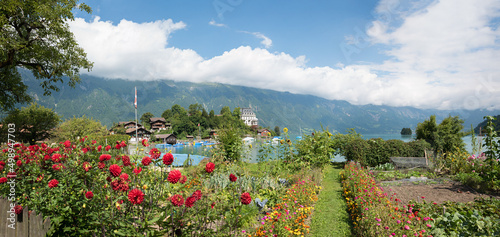pictorial tourist resort Iseltwald, view from lakeside promenade, beautiful flowers. swiss alps.
