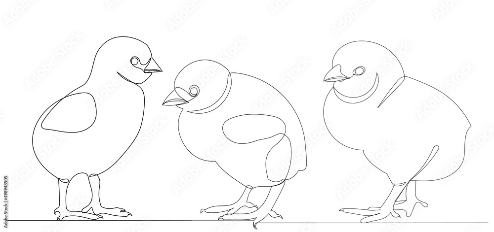 chickens drawing by one continuous line, sketch chickens drawing by one continuous line, sketch