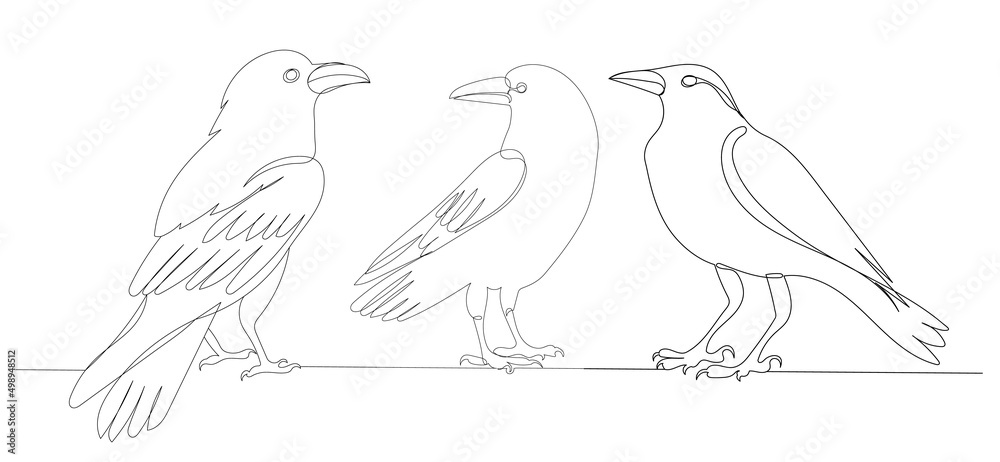 crows drawing by one continuous line