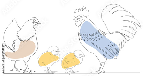 rooster, hen and chicks drawing in one continuous line, sketch