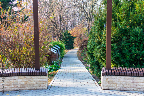 An alley in the Botanic Garden Iasi during autumn, Romania