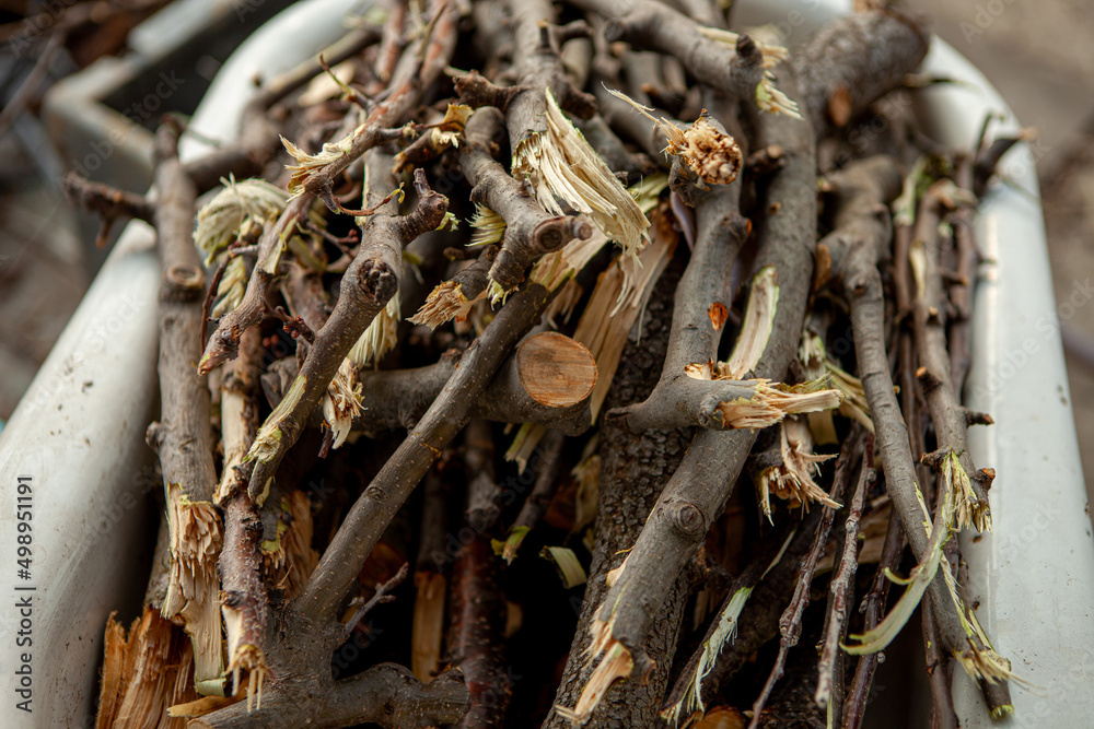 A large pile of pine tree branches. Firewood prepared for export from the forest. A large pile of pine tree branches. Firewood prepared for export from the forest.