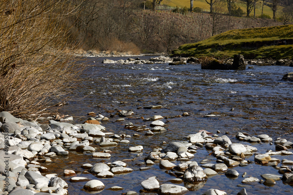 Fototapeta premium River Esk downstream from the bridge at Bentpath.