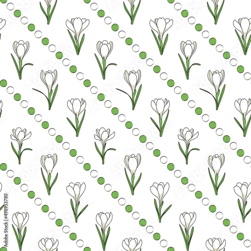 Seamless pattern with white crocus flowers, saffron. Vector background.