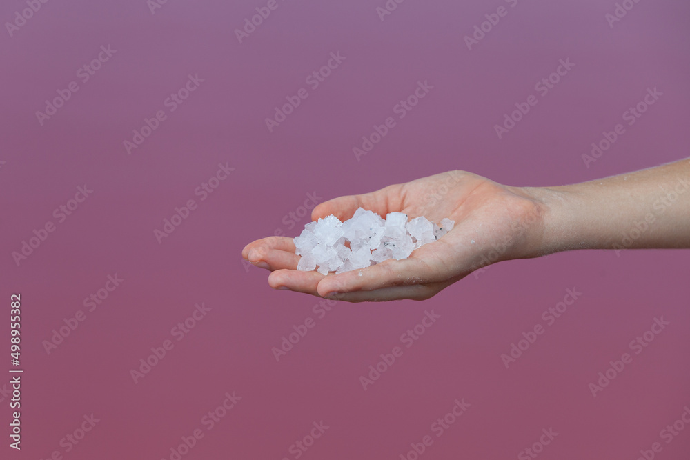 Large square salt crystals in a woman's palm on the background of pink lake. Unique medicinal salt from the bottom of pink lake. Selective focus, copy space